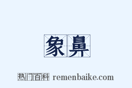 象鼻是什么意思的图片